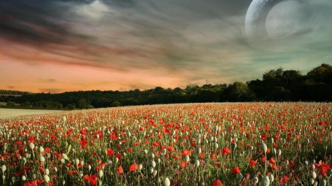 李连杰时隔多年复出参演武侠电影《镖人：风起大漠》，票房能爆吗？